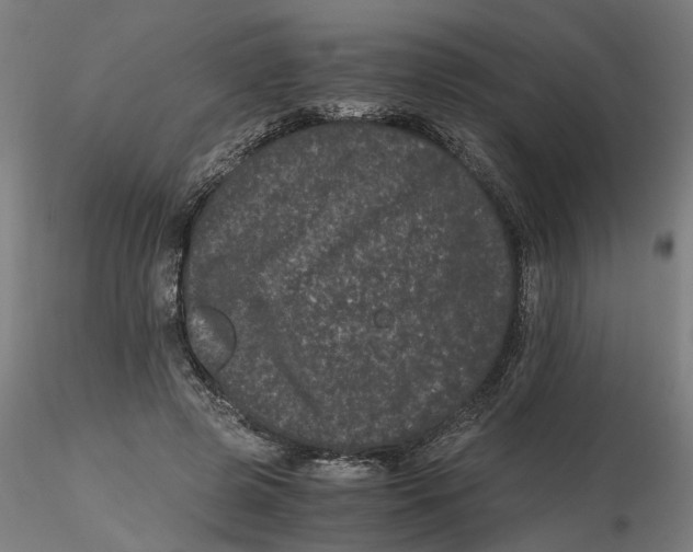 X0000116760545201001071157