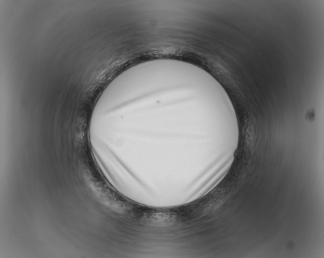 X0000116760546201001071157