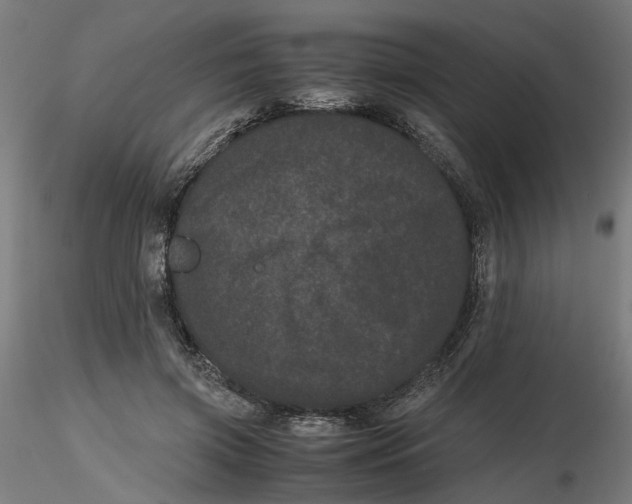 X0000116760549201001071157