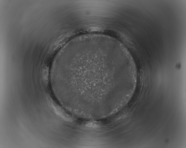 X0000116760550201001071157