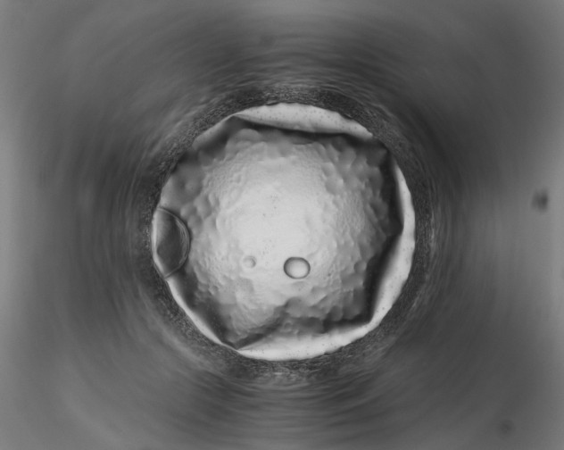 X0000116760553201001071157