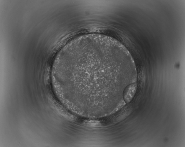 X0000116760554201001071157