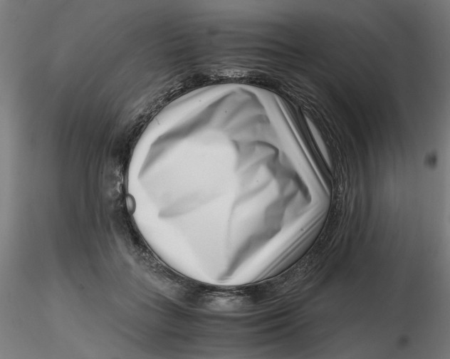 X0000116760555201001071157