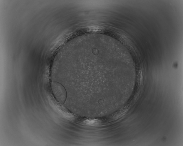 X0000116760557201001071157