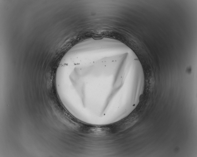 X0000116760558201001071157