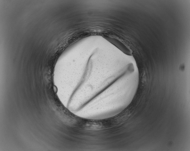 X0000116760559201001071157