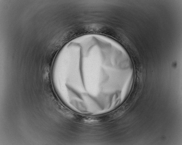 X0000116760561201001071157