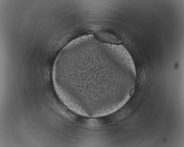 X0000116760562201001071157