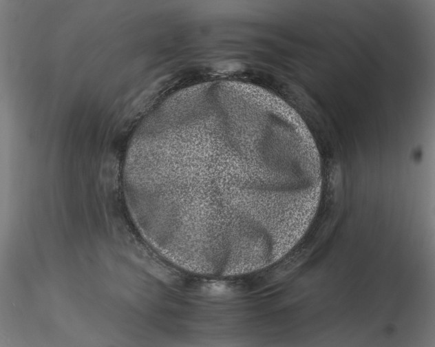 X0000116760565201001071157