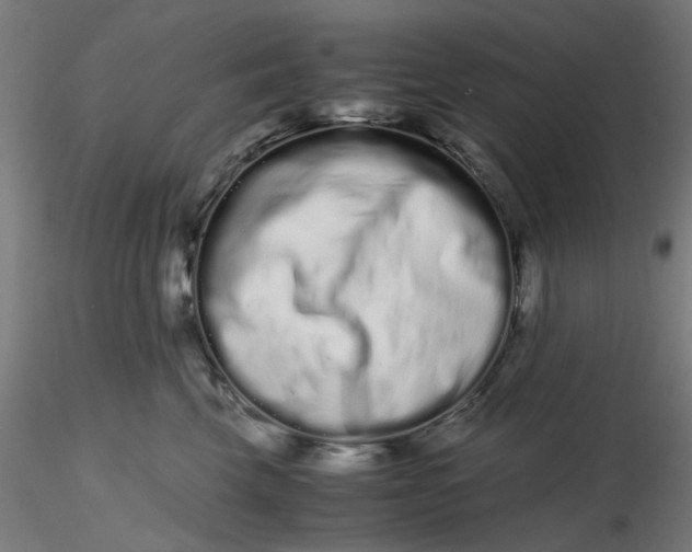 X0000116760569201001071158