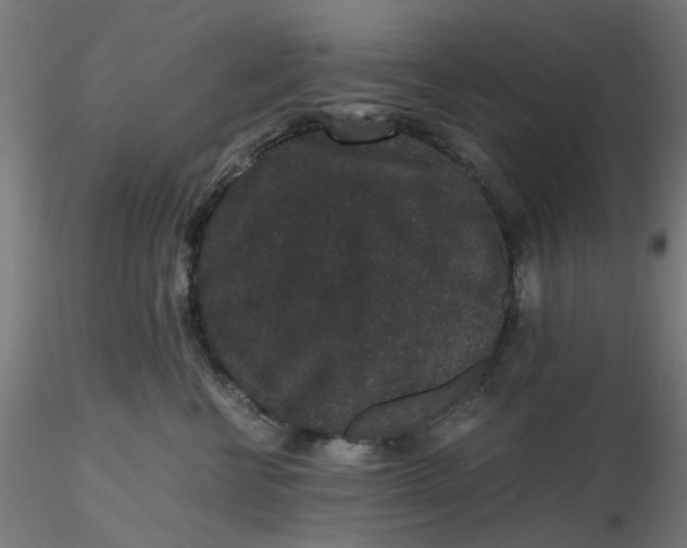 X0000116760570201001071158