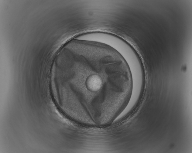 X0000116760577201001071157