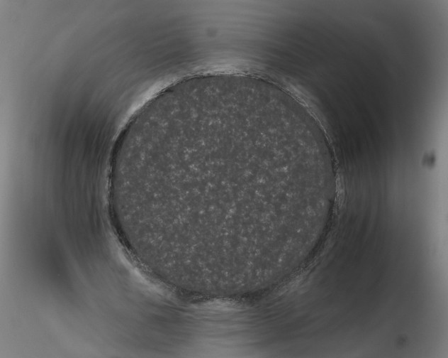 X0000116760578201001071157