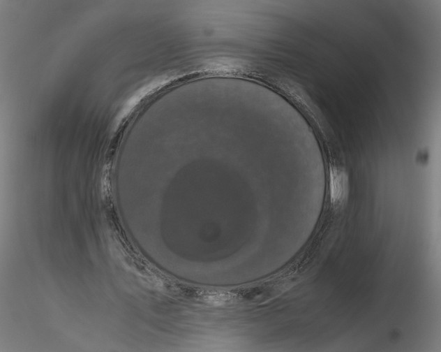 X0000116760579201001071157