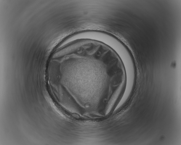 X0000116760581201001071157