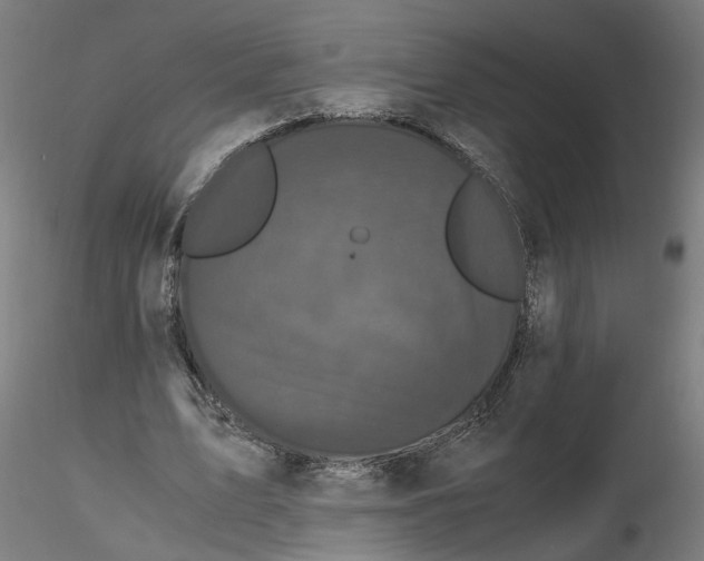 X0000116760583201001071157