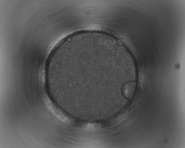 X0000116760584201001071157