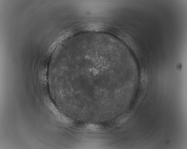 X0000116760585201001071157