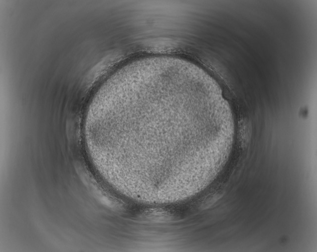 X0000116760589201001071157