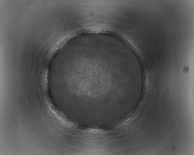 X0000116760590201001071157