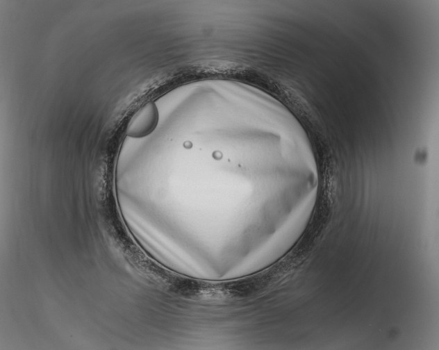 X0000116760591201001071157