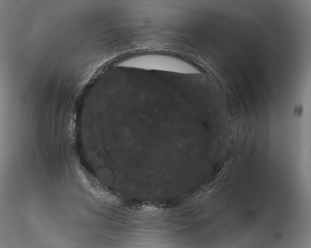 X0000116760592201001071157