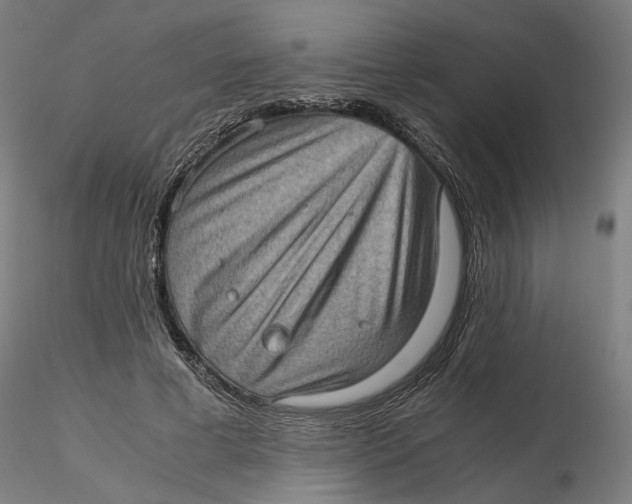 X0000116760593201001071157