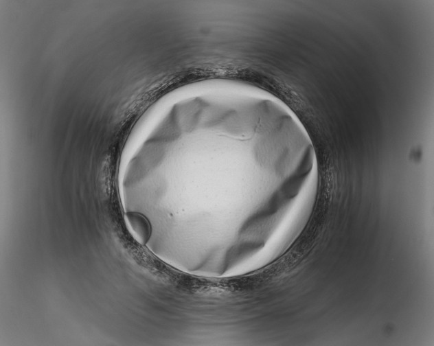 X0000116760594201001071157