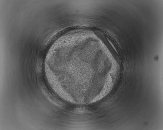 X0000116760596201001071157