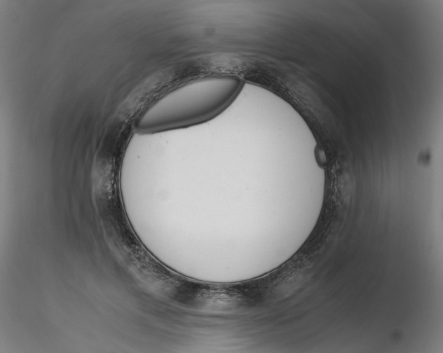 X0000116760597201001071157