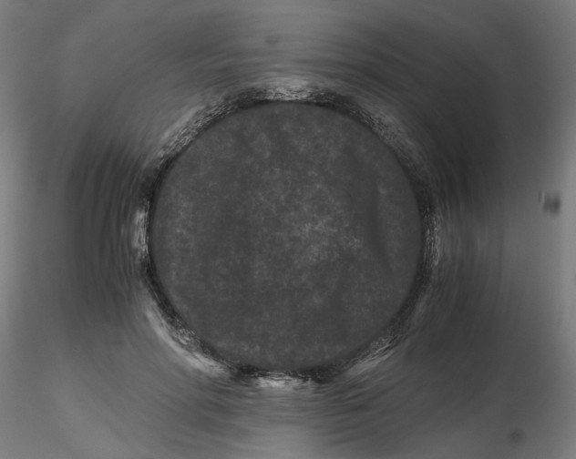 X0000116760598201001071157