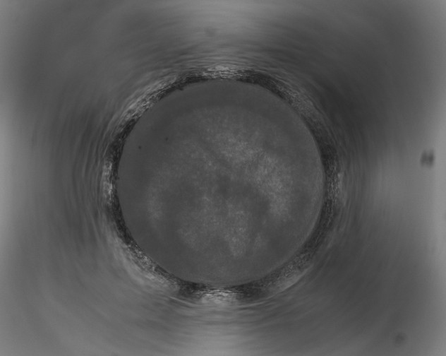 X0000116760599201001071157