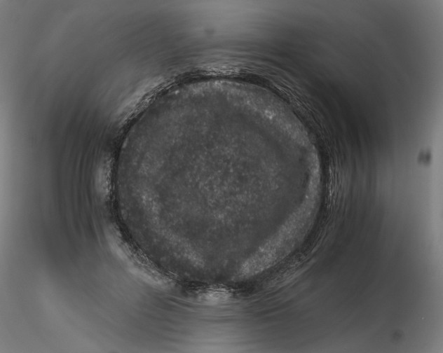 X0000116760600201001071157