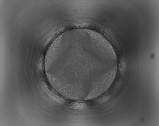 X0000116760604201001071157