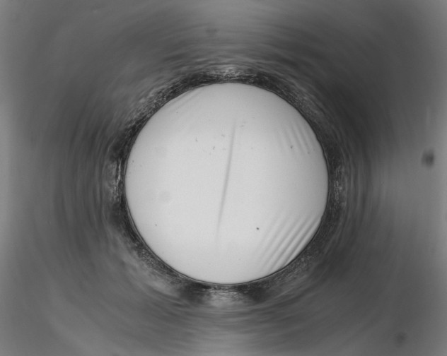 X0000116760605201001071157