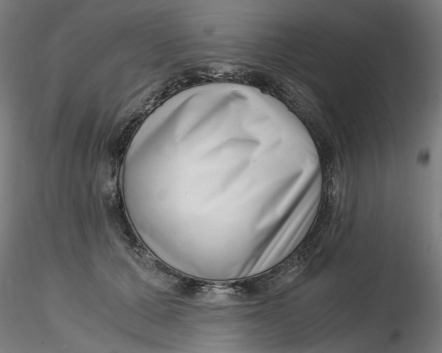 X0000116760607201001071157