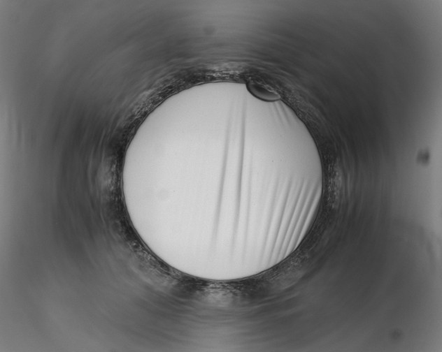 X0000116760608201001071157