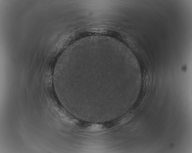 X0000116760609201001071157