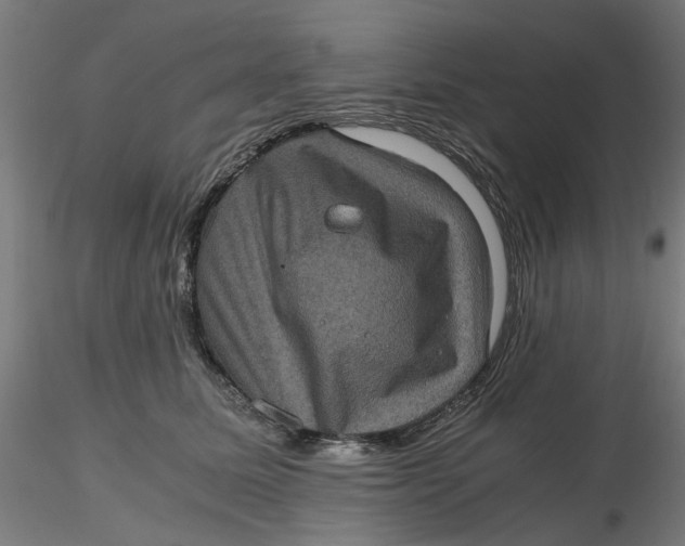 X0000116760611201001071157