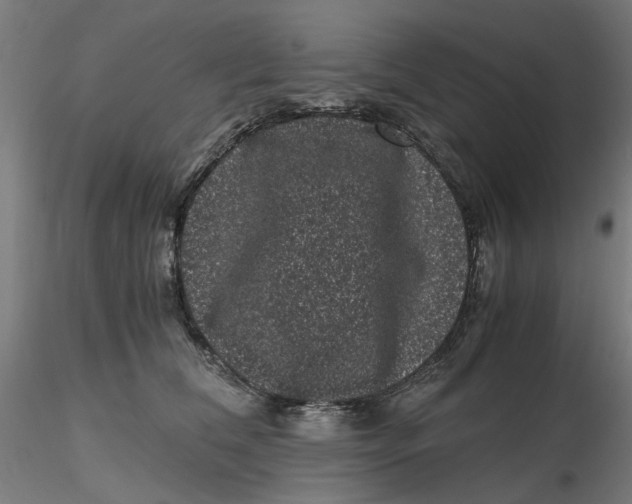 X0000116760612201001071156