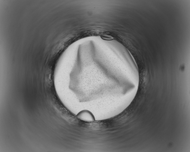 X0000116760615201001071156