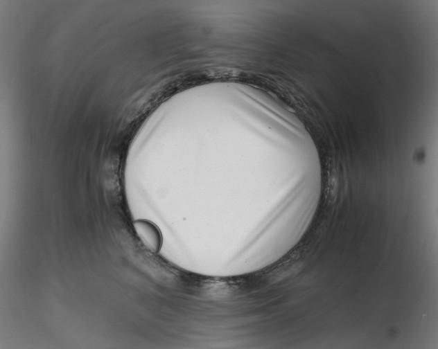 X0000116760616201001071156