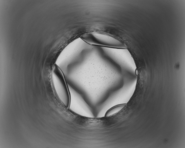 X0000116760617201001071156