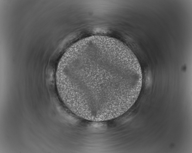 X0000116760619201001071156