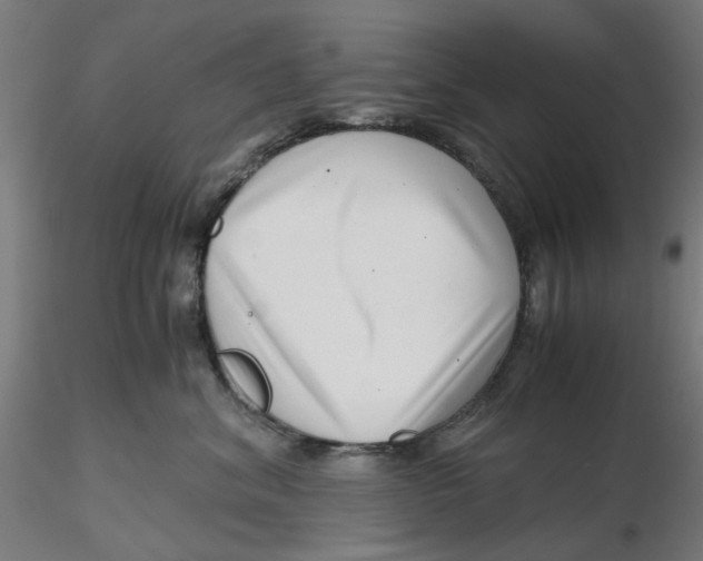 X0000116760620201001071156