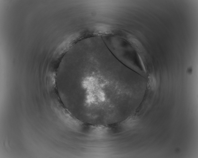 X0000116760621201001071156