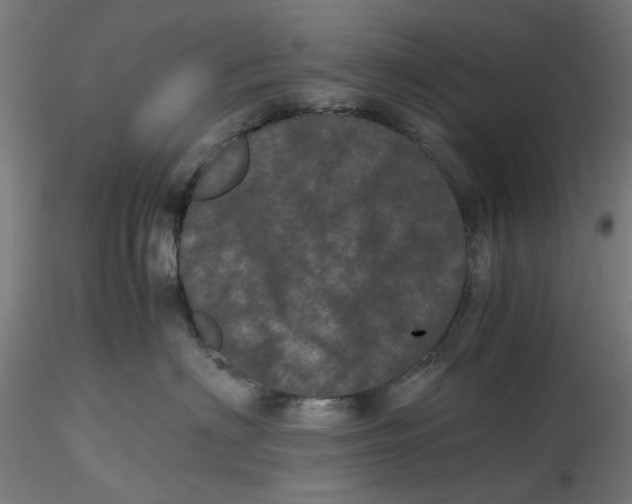 X0000116760622201001071156