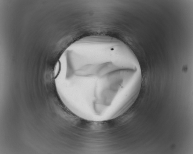 X0000116760623201001071156