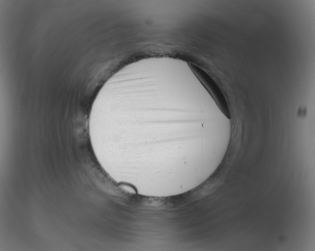 X0000116760624201001071156