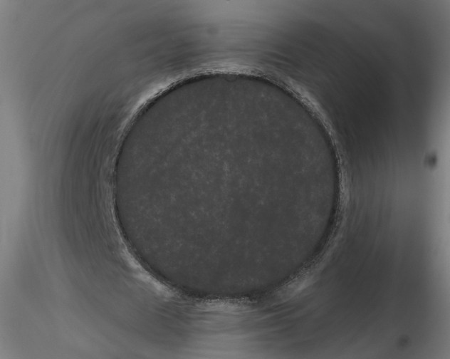 X0000116760625201001071156